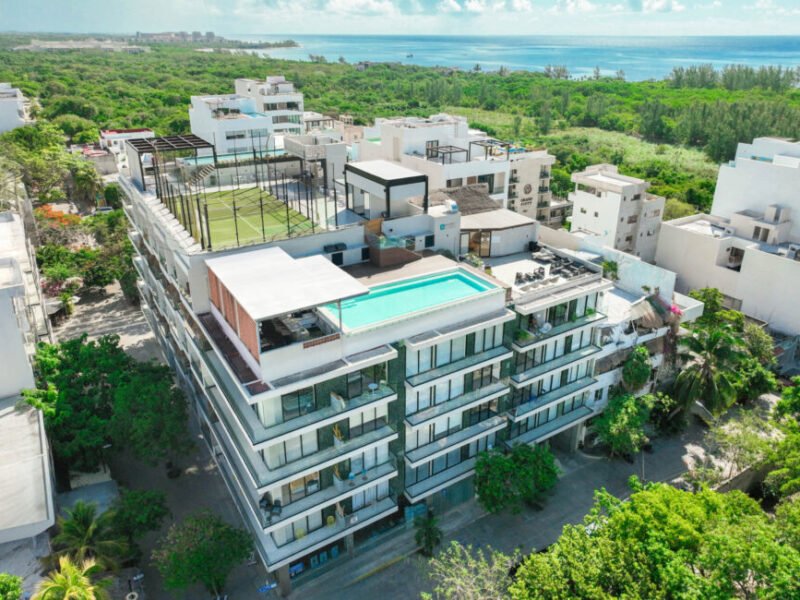 Macondo Quinta Avenida